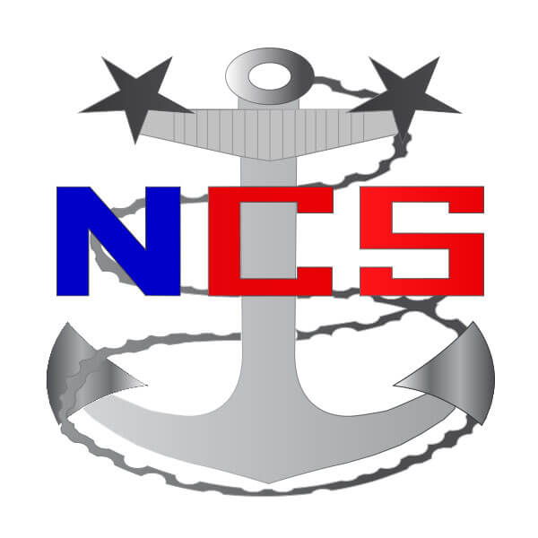 Navy Cyberspace anchor logo